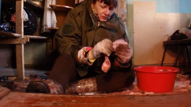 Пробую выделывать шкуры (1 этап). Моя рассада. И еще находочка и новые бизнес идеи смотреть онлайн