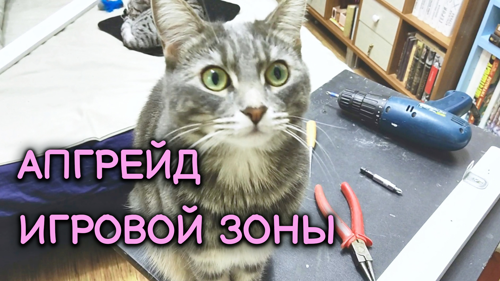 Игровой комплекс для кошек своими руками.