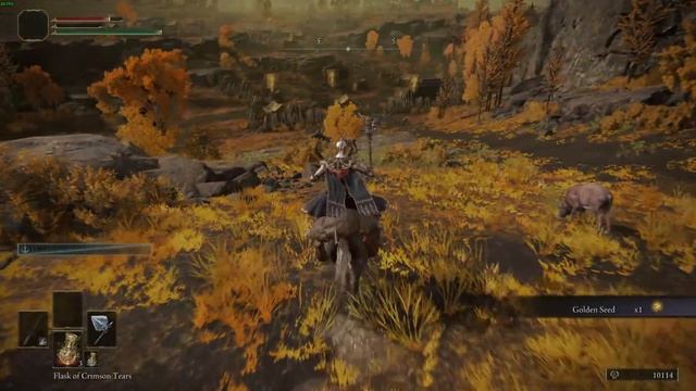 Elden Ring Speedrun Explained - How To Beat Elden Ring In 40 Minutes Tutorial Guide смотреть онлайн