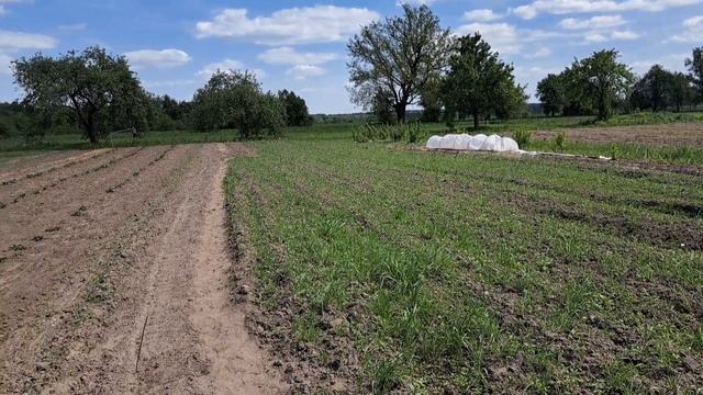 Теперь у меня есть помошница. Осваиваю новую технику. в22 смотреть онлайн