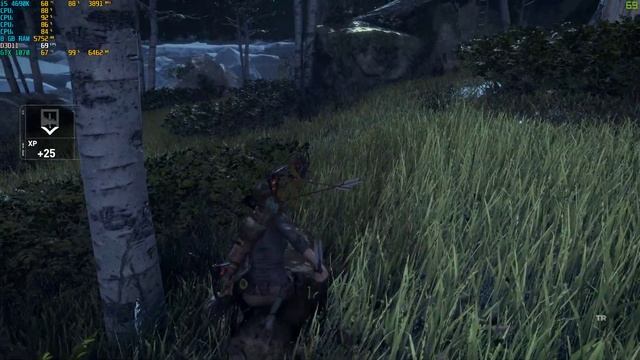 Rise Of Tomb Raider : i5 4690K - GTX1070 - Ultra | 1080p смотреть онлайн