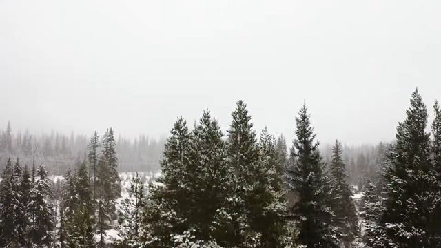 С Новым Годом!2021 смотреть онлайн