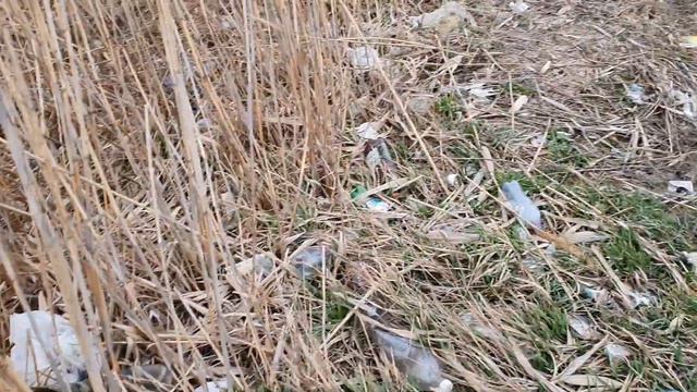 Дорога к морю.От Ростова до Анапы. Будете проездом, не забудьте нагадить!!! смотреть онлайн