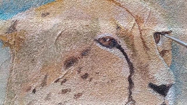 Рисуем гепарда. смотреть онлайн