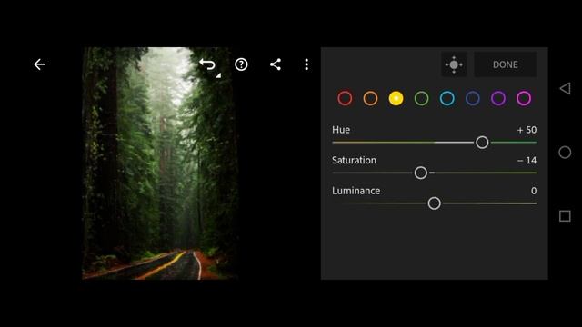 Tutorial Edit Foto: Cara Dapatkan Nuansa Hutan dengan Preset Forest Greens | Lightroom Mobile смотреть онлайн