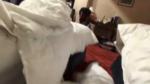 А у вас есть друзья , которые не дают спать но ночам ?😂😂😂👹👹👹 смотреть онлайн