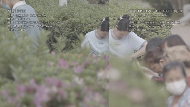 Canon XF605 VS R5视频性能跨界对比：4K画质 смотреть онлайн