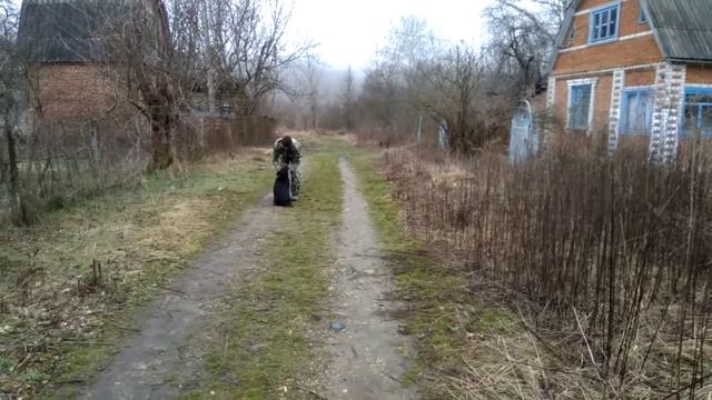 Лабрадор Маша 4,5мес команда ко мне. смотреть онлайн