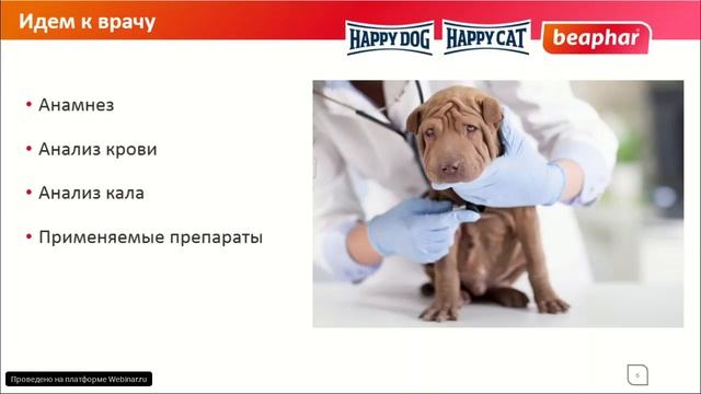 Копрофагия смотреть онлайн