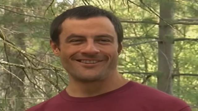 Перевод комментариев би лайк: смотреть онлайн