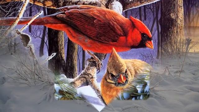 Сказка лес. Зимний лес полон чудес. смотреть онлайн