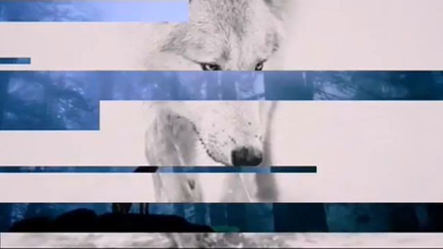 Душа волка. смотреть онлайн