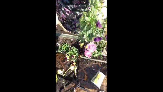 Spring Is Finally Here! | CUTE PLANTERS ON A BUDGET