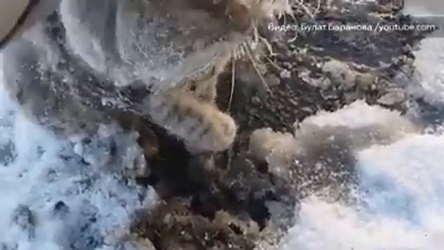 Спасение кота, который вмерз лапами в лед на 35 градусном морозе смотреть онлайн