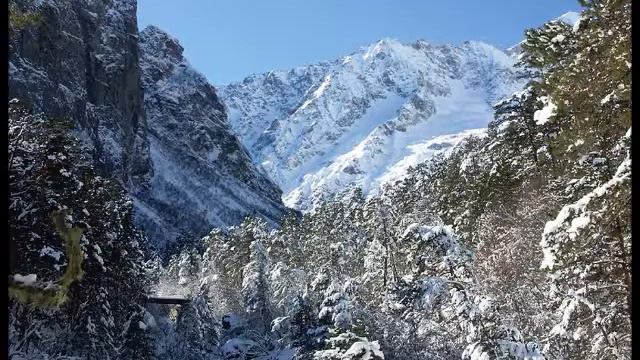 Сердце джигита смотреть онлайн