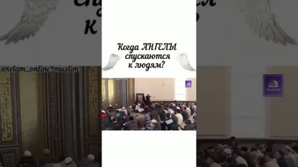 Ангелы среди Людей