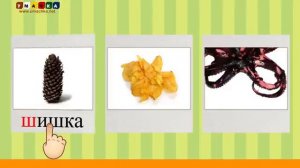 Алфавит Учимся Читать с Кругляшиком Буквы и Звуки - Буква Ч