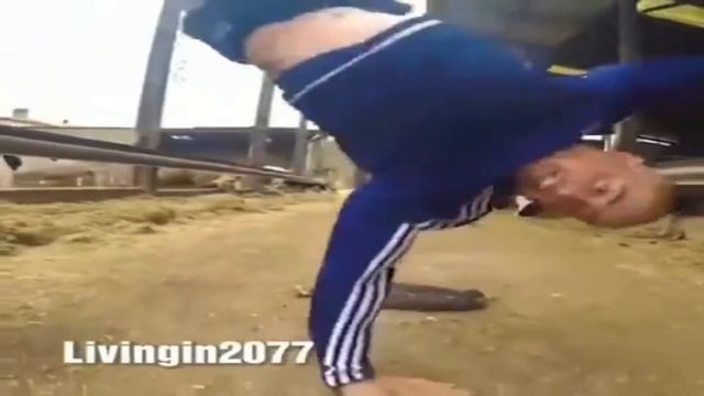 ахахаха дурак дибил пылесос с функцией унитаз смотреть онлайн