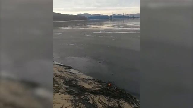 "Прикумский" пляж в Находке черный от угольной пыли смотреть онлайн