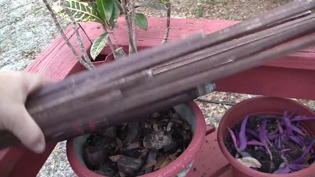 Redneck Repair Market Umbrella смотреть онлайн