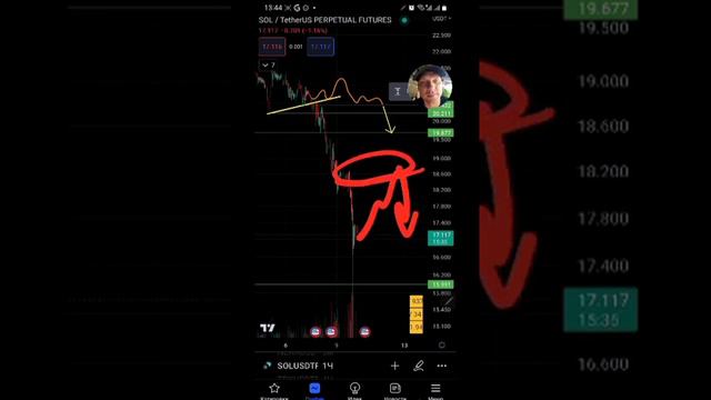 Разбор Крипто Монет в кафе на Бали смотреть онлайн