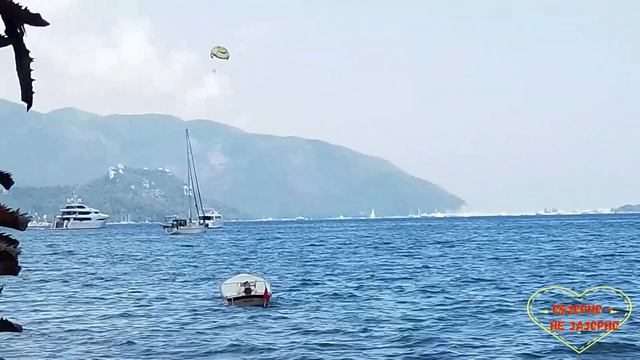 Бровченко. Странный июнь. Обзор влогов.  23 06 2023 Бровченко