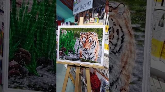 Алмазная мозаика Полосатый властелин 40x50 LG117 смотреть онлайн