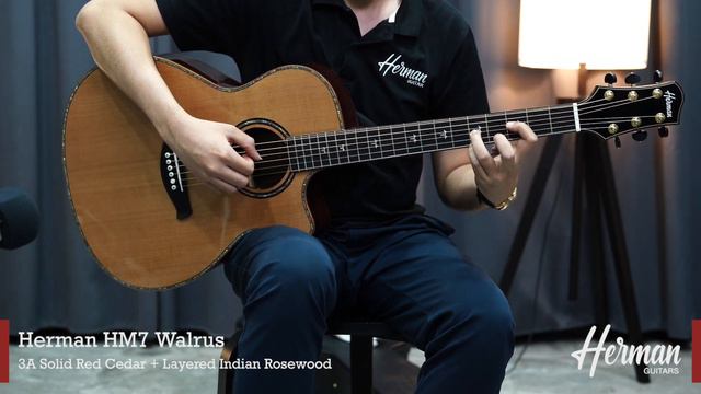 Herman HM7 Walrus (Solid Top Red Cedar) смотреть онлайн