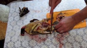 Как приготовить суп из дикой утки на костре. Рецепт от Анатолия Лээги.