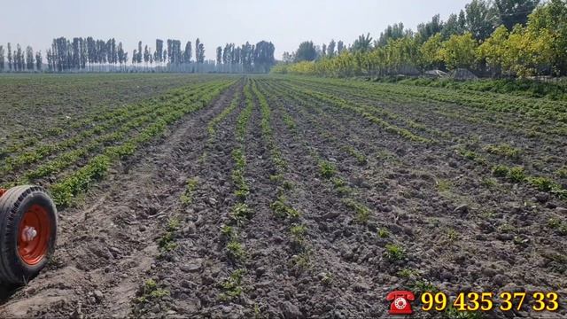 ☎️ 99 435 37 33 Pul topar texnikalardan T25 TRAKTOR sotiladi смотреть онлайн