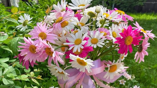 886. ♫. Анна Герман - «Кажется»,1980, муз.И.Якушенко, сл. Л.Ошанин смотреть онлайн