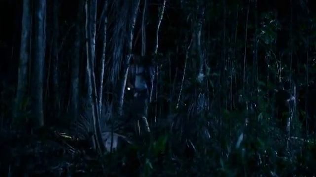 Добро пожаловать в джунгли