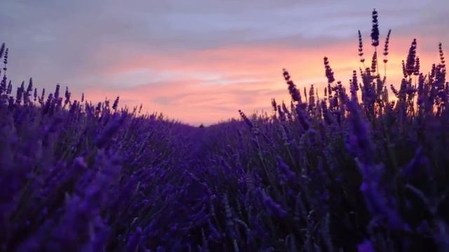 Расслабляющая музыка с красивым пением птиц. Помогает эффективно снизить стресс смотреть онлайн