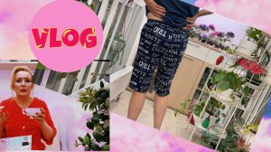 VLOG: ЧАЕПИТИЕ НА НОВОЙ ЛОДЖИИ, РАСПАКОВКА С "ЛЮБИМОГО ВАСИЛЬКА, ПОКАЗЫВАЮ СВОЙ ЗИМНИЙ САД и пр.