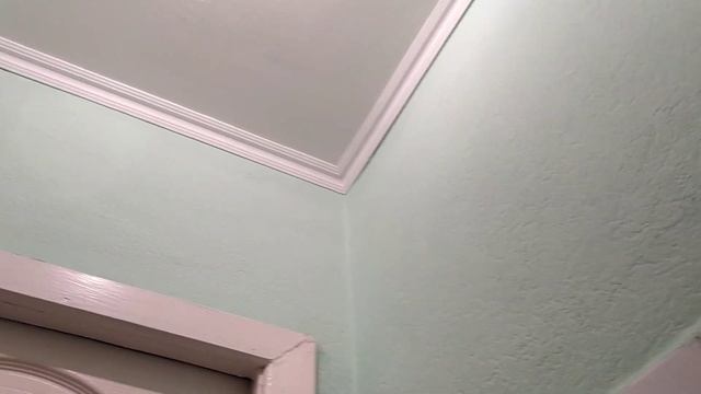 Обзор обоев в моём туалете смотреть онлайн