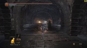 Dark Souls 3 ПРОХОЖДЕНИЕ#21 БОСС Лориан, старший принц и Лотрик, младший принц