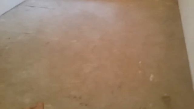 КЛАДКА ПЛИТКИ КВАРТИРА СПБ