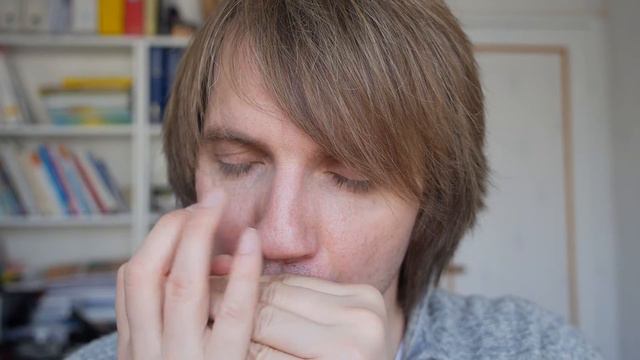 How to Play-Saint James infirmary-Beija Jeanzac-口琴 смотреть онлайн