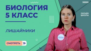 Лишайники. Видеоурок 23. Биология 5 класс