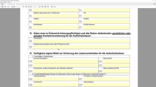 Как правильно заполнить заявку на получение рабочей визы в Австрию смотреть онлайн