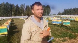 Промышленная пасека России 4000+, часть 1/5