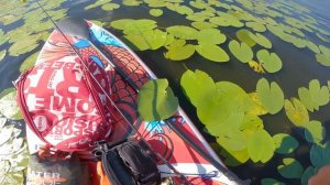 Папа впервые встал на САПБОРД! / Рыбалка с Сапборда / Сапборд с Aliexpress