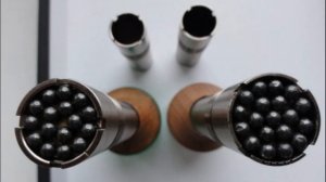 ? ГУСИНЫЕ ПАТРОНЫ 12 КАЛИБРА