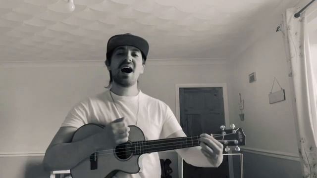 Foo fighters - Times like these (UKULELE COVER) смотреть онлайн