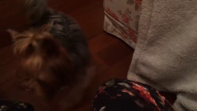 ДЕНЬ 68 - ЕЛИСЕЕВСКИЙ-ЭКСКУРСИЯ!+бешеный пес!