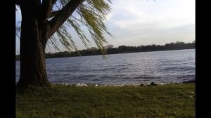 Иранская песня (Таджикистан Афганистан Иран)Persian song