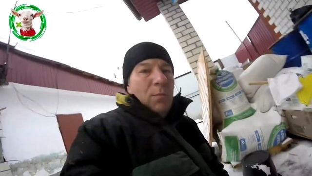 Свиньям молочка на десерт смотреть онлайн