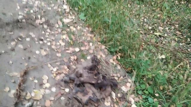 ТРАКИ КОП МЕТАЛЛОЛОМА! смотреть онлайн