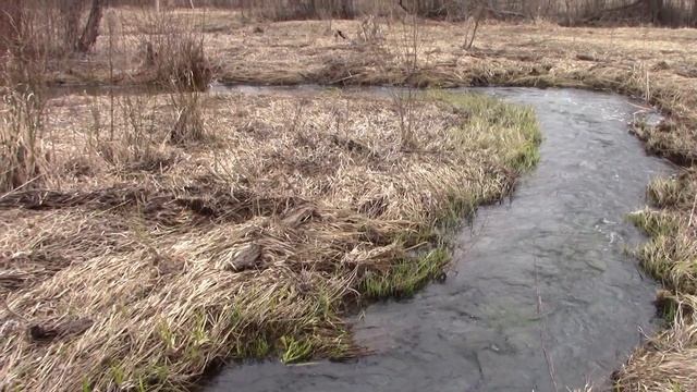 ВОДНЫЕ ПУТИ ДРЕВНОСТИ ИЗ ВЯЗЬМЫ В УГРУ. смотреть онлайн