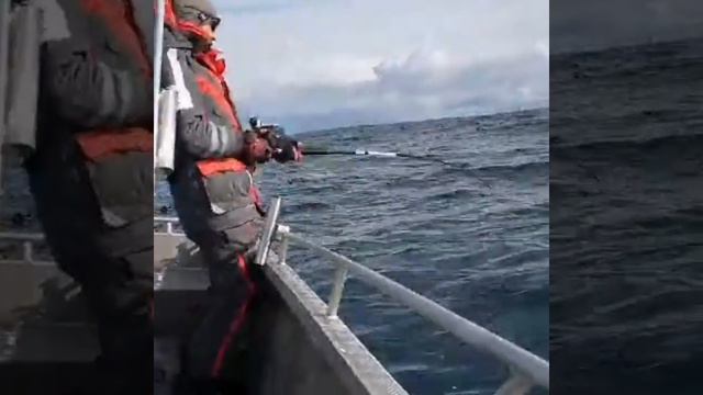 Рыбалка в Норвегии 2019 смотреть онлайн